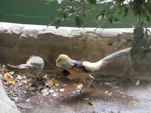 Зоопарк в Севилье