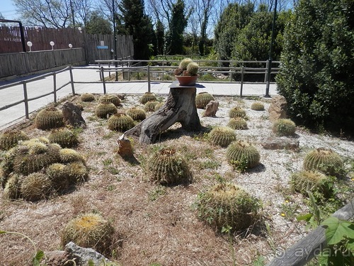 Зоопарк в Севилье