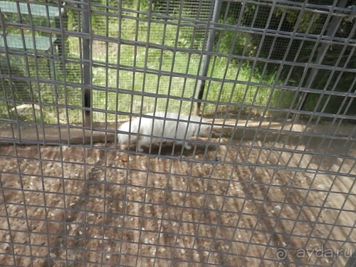 Зоопарк в Севилье