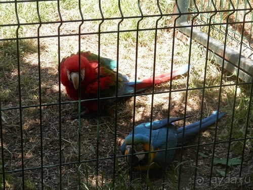 Зоопарк в Севилье