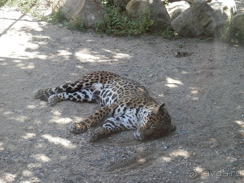 Зоопарк в Севилье