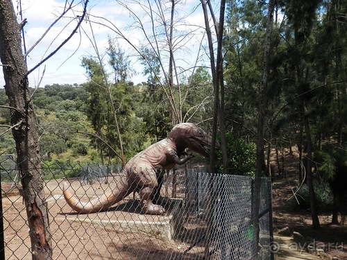 Зоопарк в Севилье