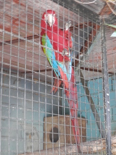 Зоопарк в Севилье