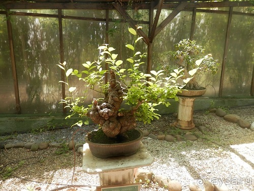 Зоопарк в Севилье