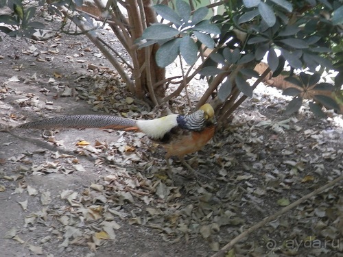 Зоопарк в Севилье