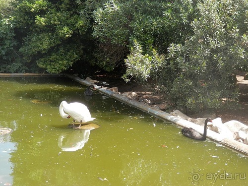 Зоопарк в Севилье