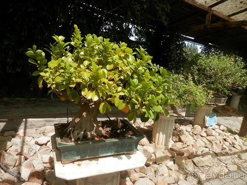 Зоопарк в Севилье