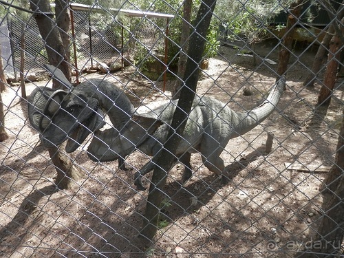 Зоопарк в Севилье