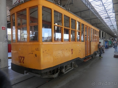 Зоопарк в Севилье