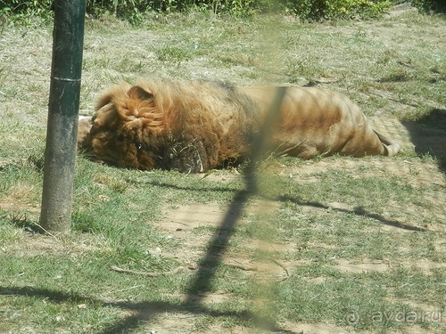 Зоопарк в Севилье