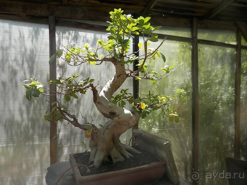 Зоопарк в Севилье