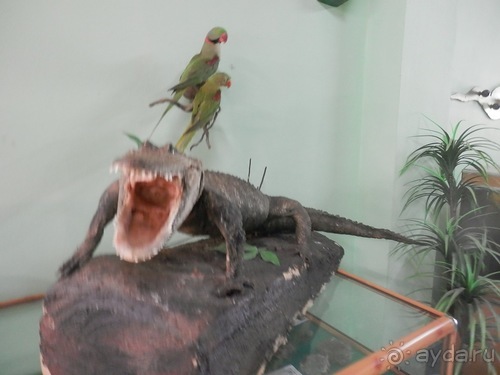 Зоопарк в Севилье