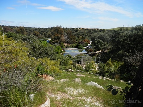 Зоопарк в Севилье