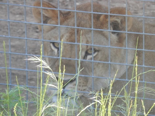 Зоопарк в Севилье