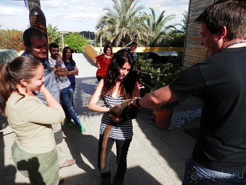 Зоопарк в Севилье