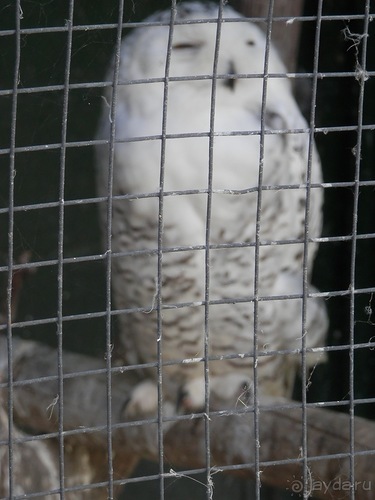 Зоопарк в Севилье