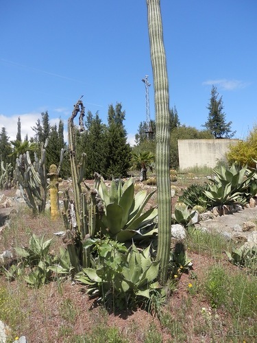 Зоопарк в Севилье