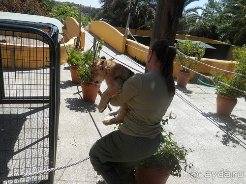 Зоопарк в Севилье