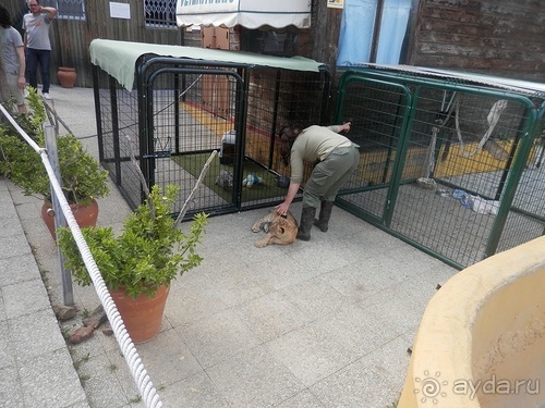 Зоопарк в Севилье