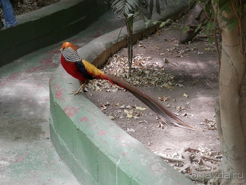 Зоопарк в Севилье