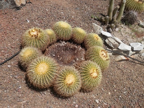 Зоопарк в Севилье