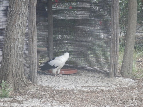 Зоопарк в Севилье
