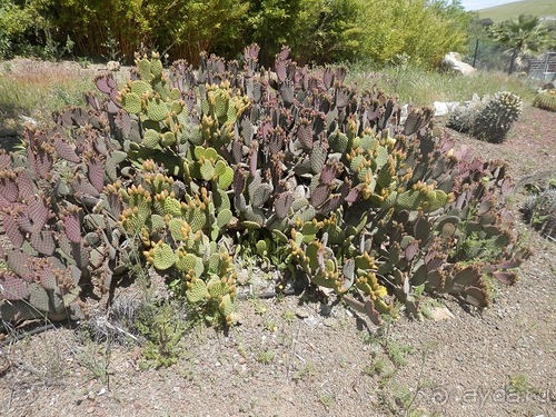 Зоопарк в Севилье