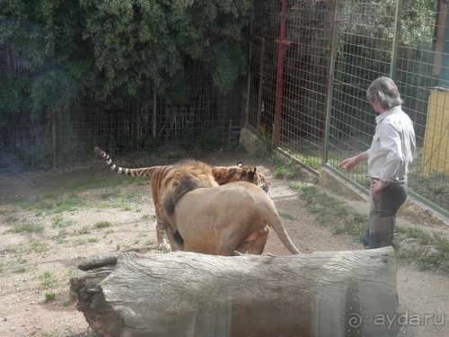 Зоопарк в Севилье