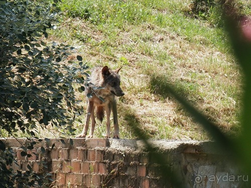 Зоопарк в Севилье