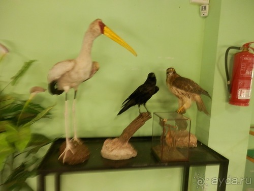 Зоопарк в Севилье