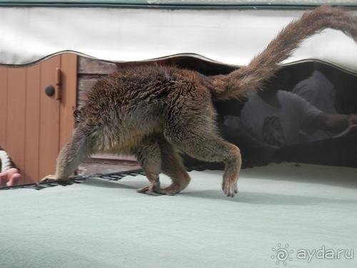 Зоопарк в Севилье