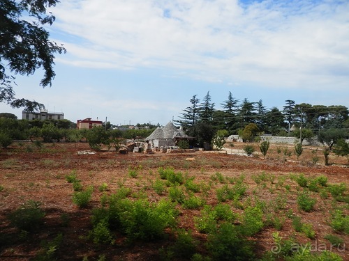 Пещера Кастеллано и Альберобелло