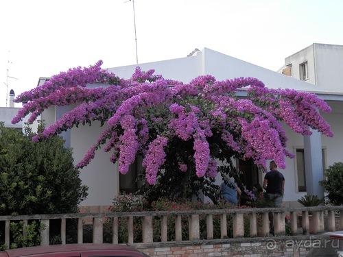 Пещера Кастеллано и Альберобелло