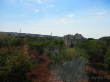 Пещера Кастеллано и Альберобелло