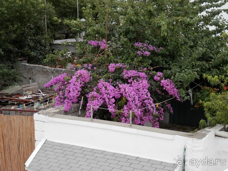 Пещера Кастеллано и Альберобелло