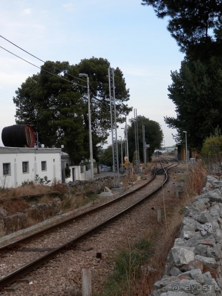 Пещера Кастеллано и Альберобелло