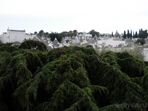 Пещера Кастеллано и Альберобелло