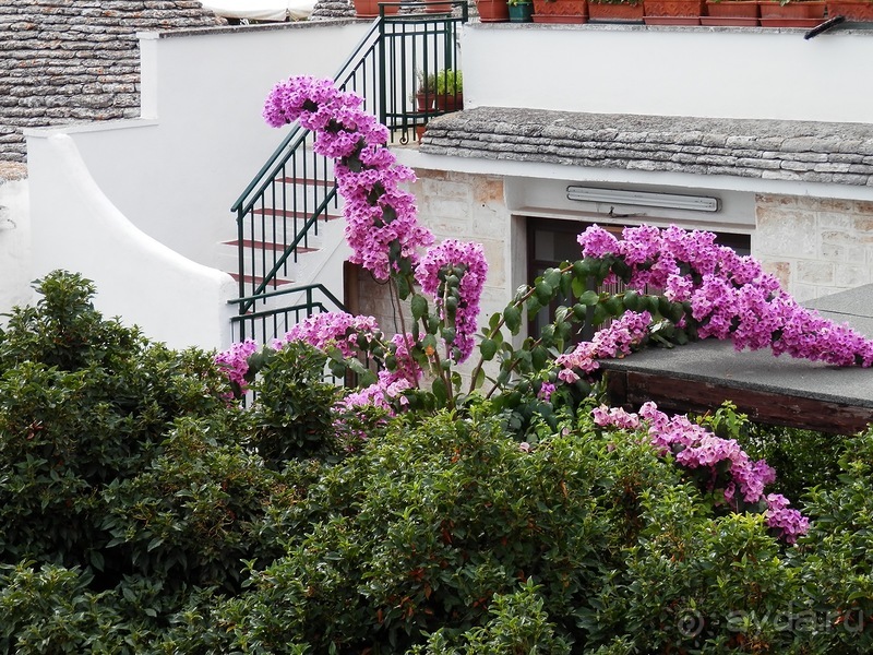 Пещера Кастеллано и Альберобелло