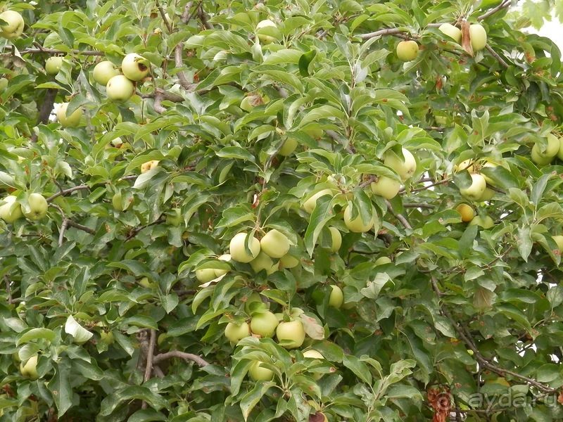 Пещера Кастеллано и Альберобелло