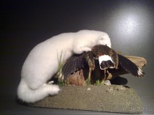 Исландия, день второй