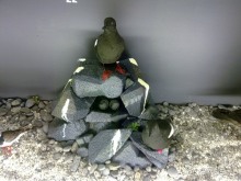 Исландия, день второй