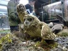 Исландия, день второй