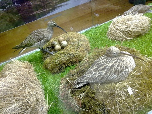 Исландия, день второй