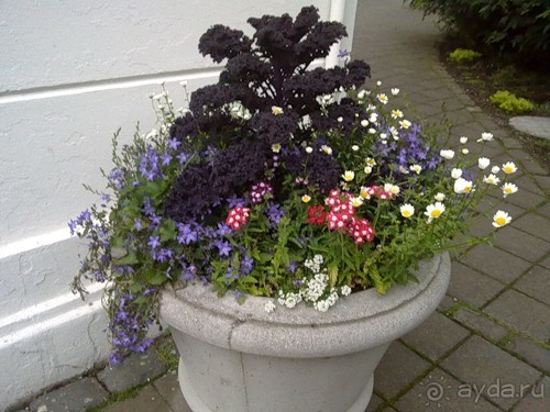 Исландия, день второй