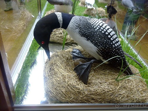 Исландия, день второй