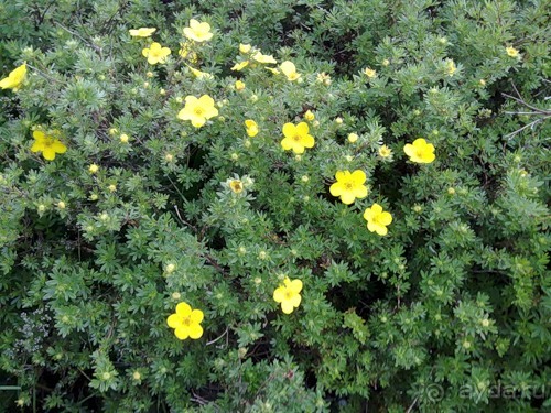 Исландия, день второй