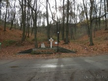 Альбом отзыва "Львов - день второй"