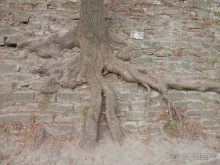 Альбом отзыва "Львов - день второй"