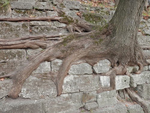 Львов - день второй