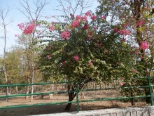 Альбом отзыва "Кхаджурахо: водопад Ранех и заповедник Гавиал"